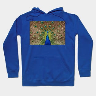 The PeaceCock Hoodie